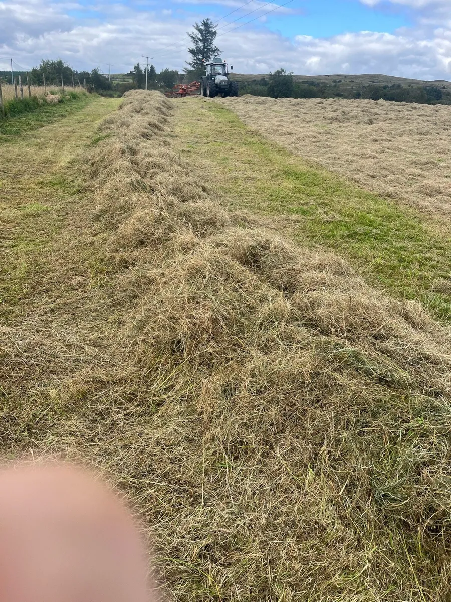 Round bales of organic hay - Image 2
