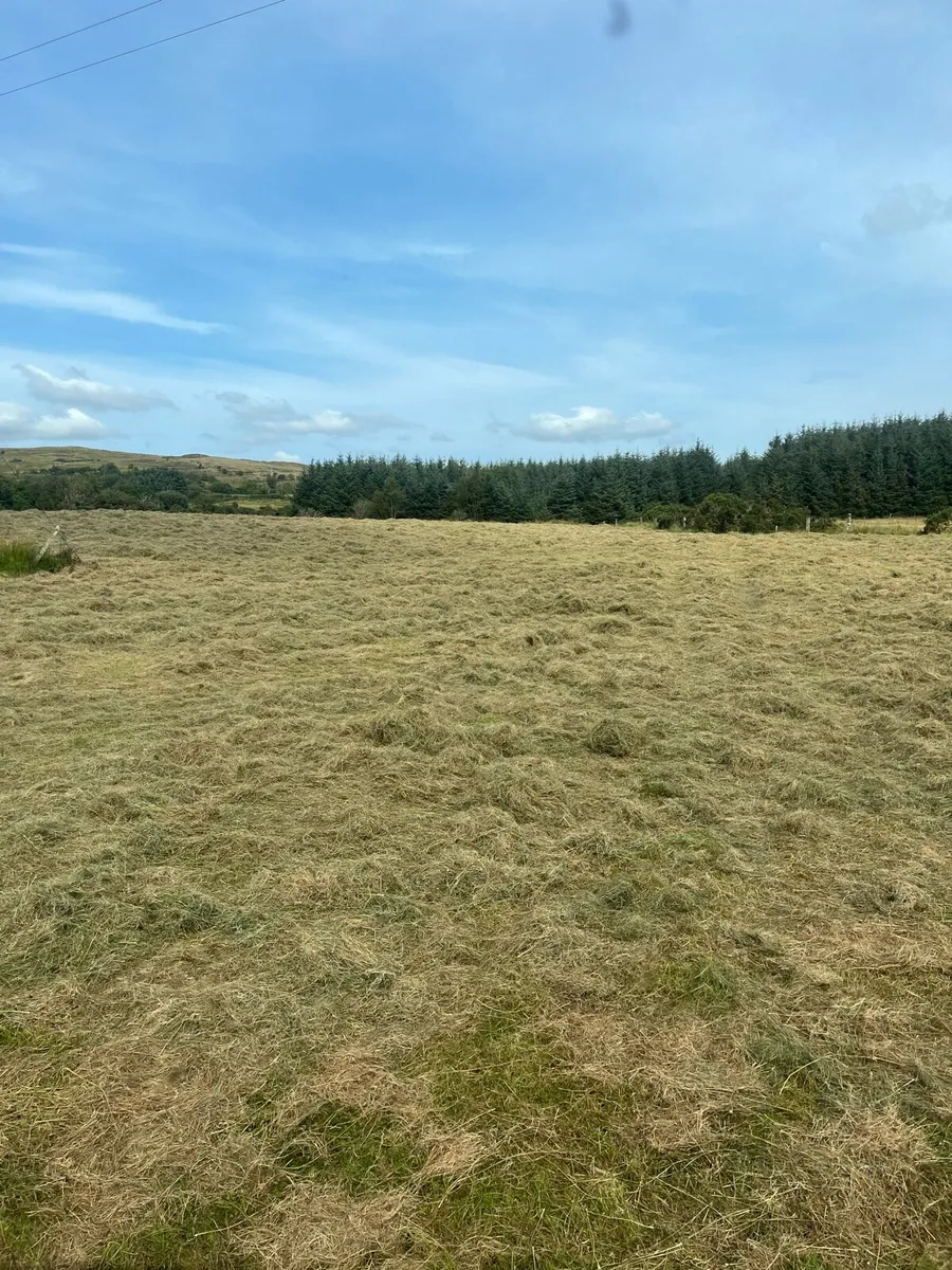 Round bales of organic hay - Image 1