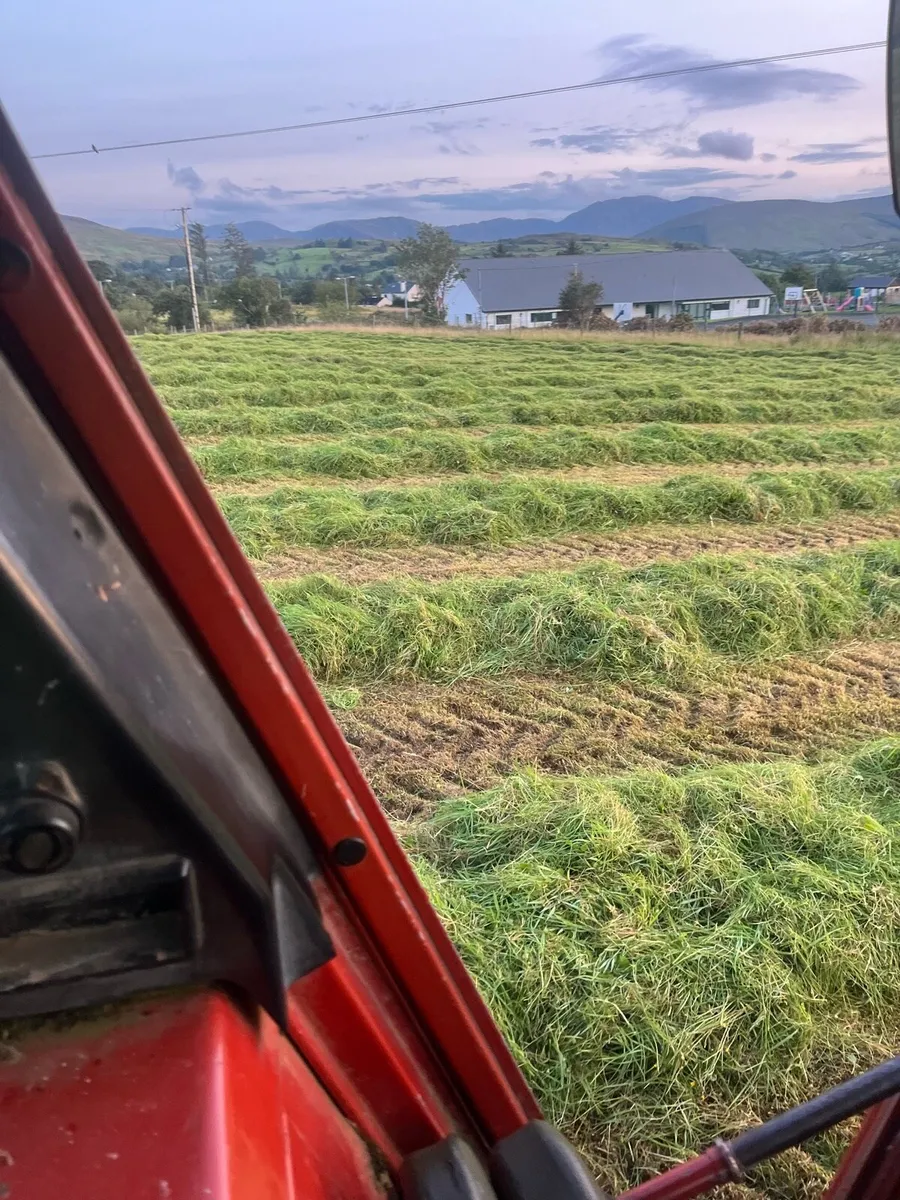 Round bales of organic hay - Image 4
