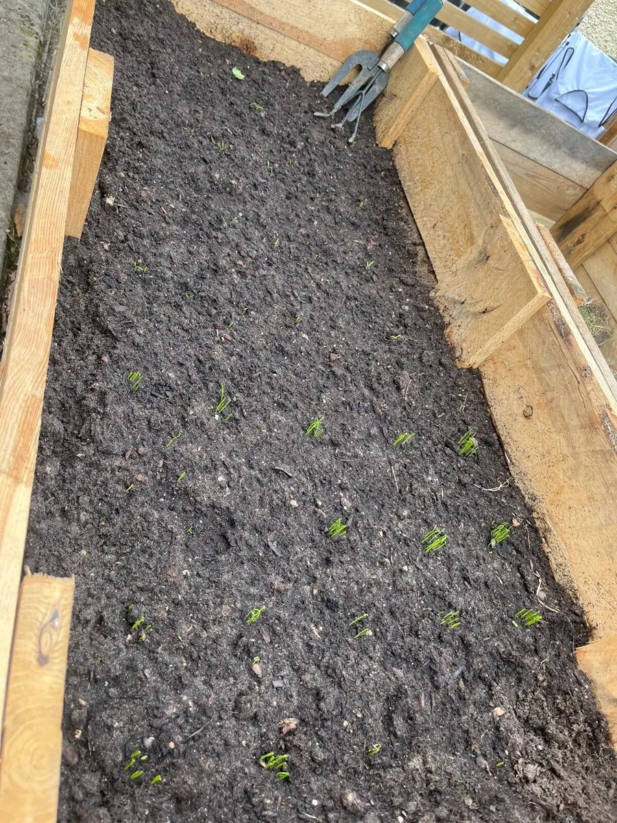 Planter boxes/ Flower boxes/ Fencing/ Seating - Image 3