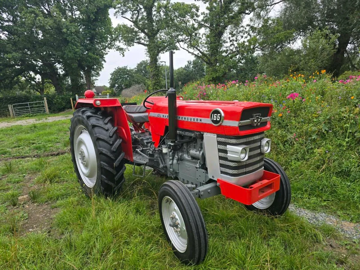 Massey ferguson 165 vintage tractor - Image 2