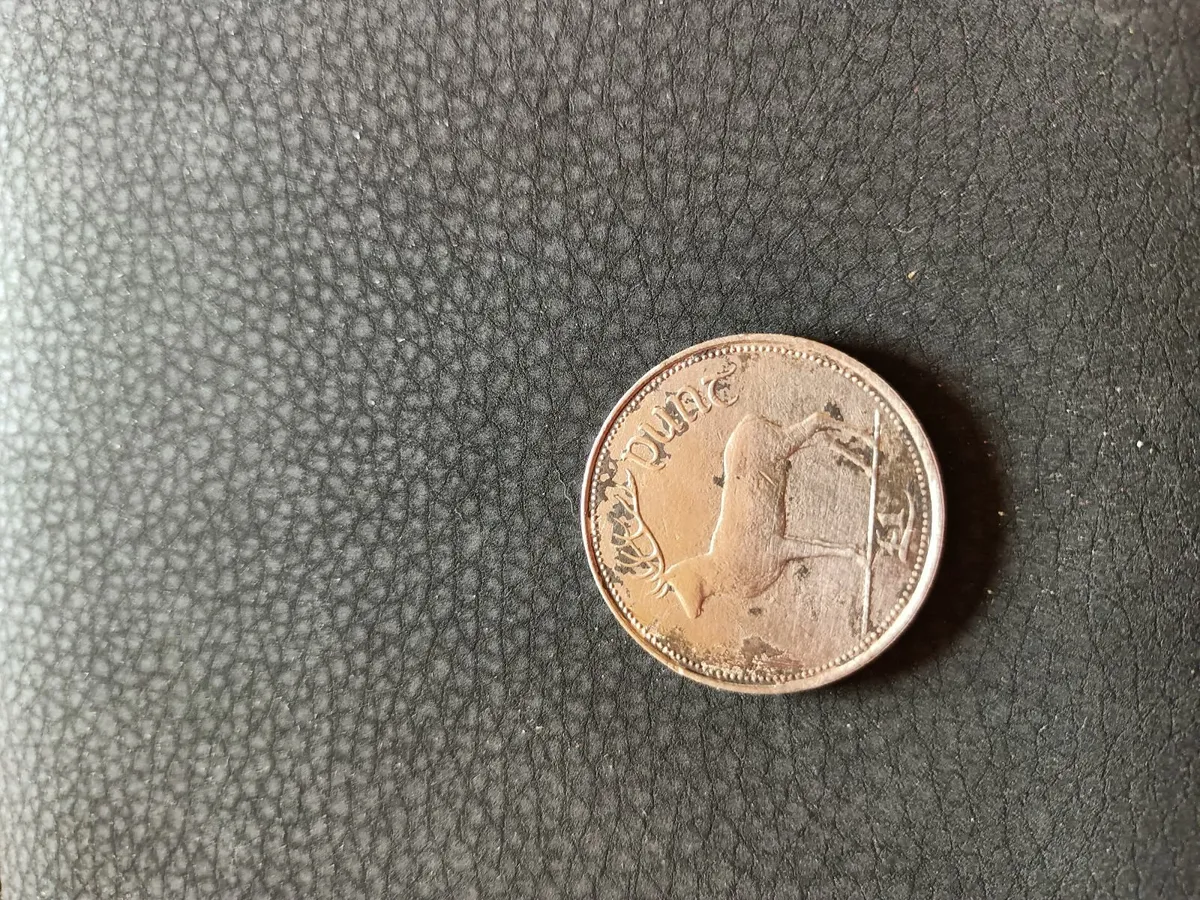 Old £20 punt note and £1 punt coin 1990 - Image 4