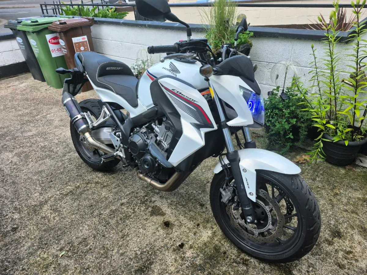 Honda cb650f - Image 3