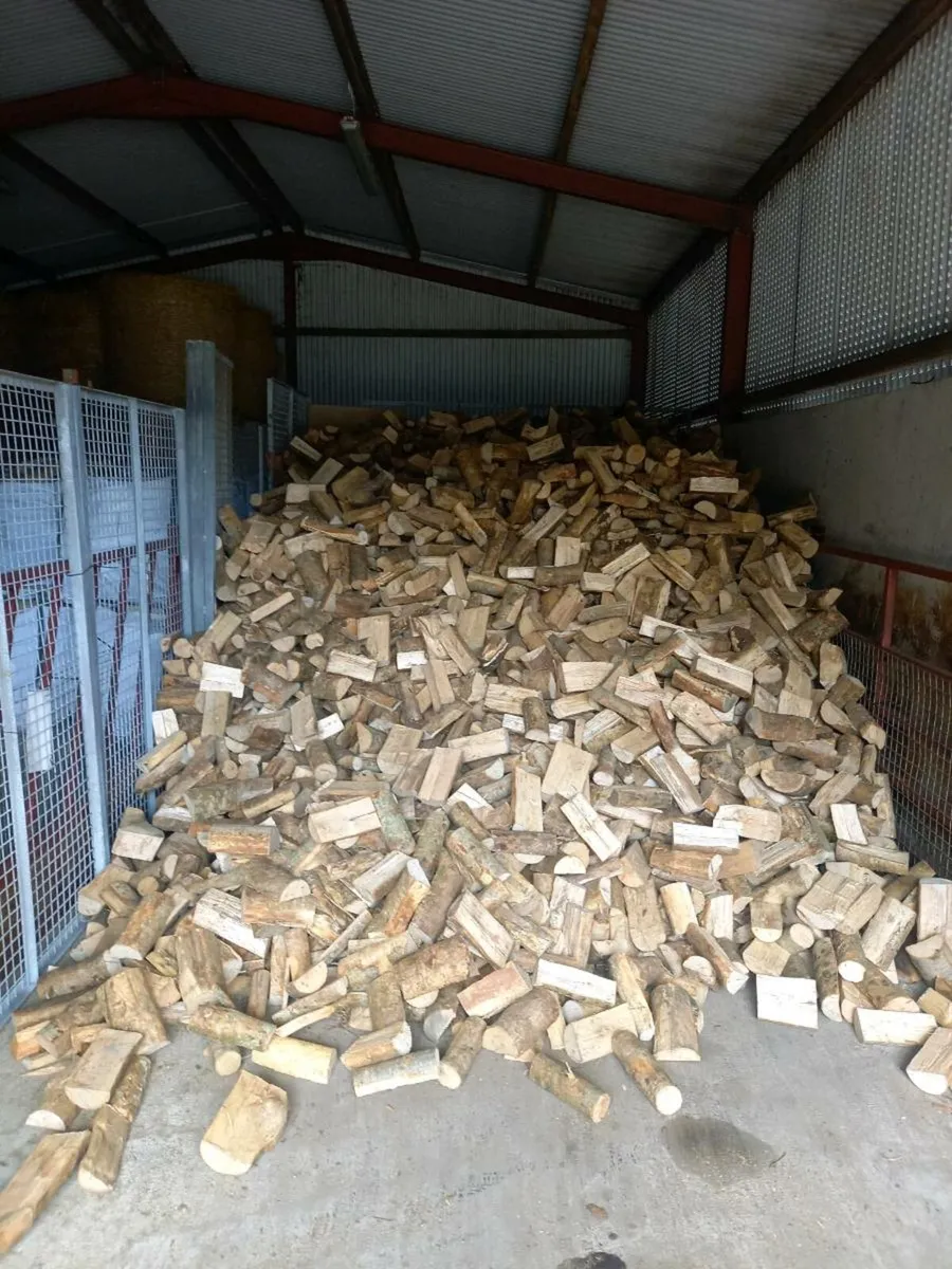 Firewood - Image 3