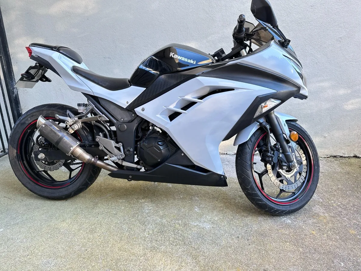 Ninja 300 ABS SE - Image 2