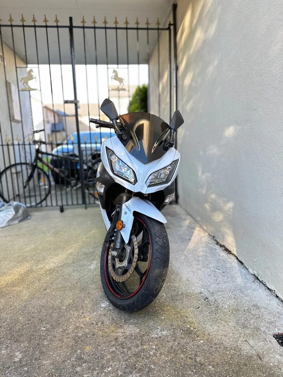 Ninja 300 ABS SE - Image 3