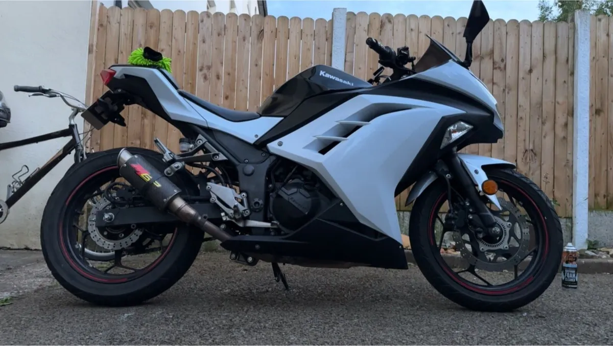 Ninja 300 ABS SE - Image 1