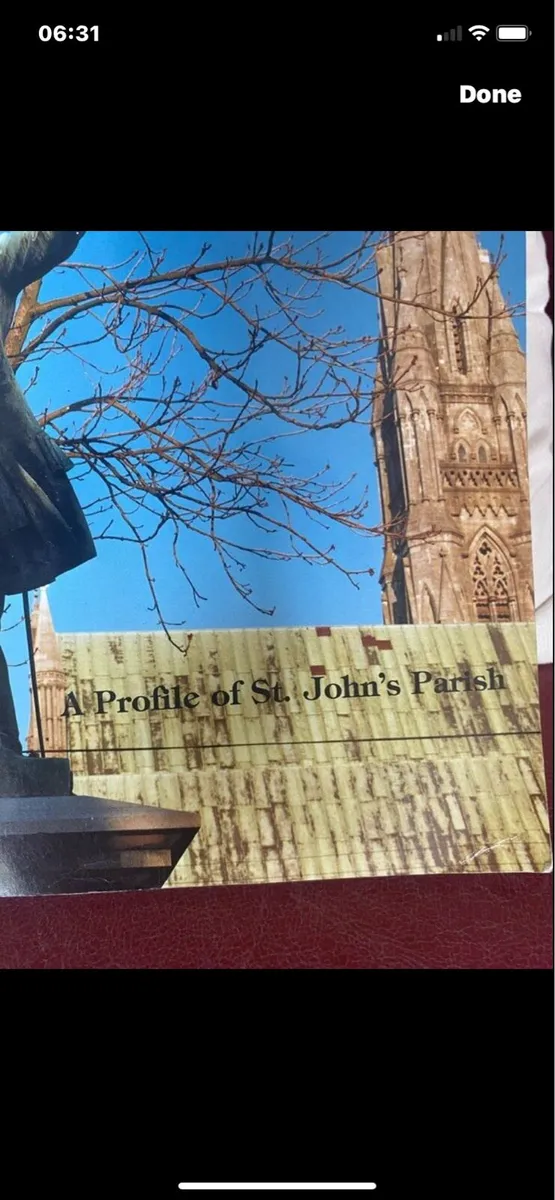 Limerick History-In The Shadow of The Spire - Image 3