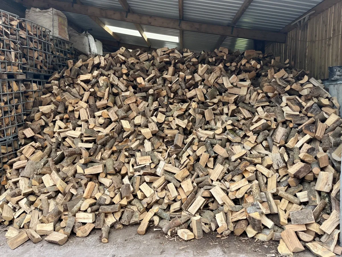 Firewood - Image 4