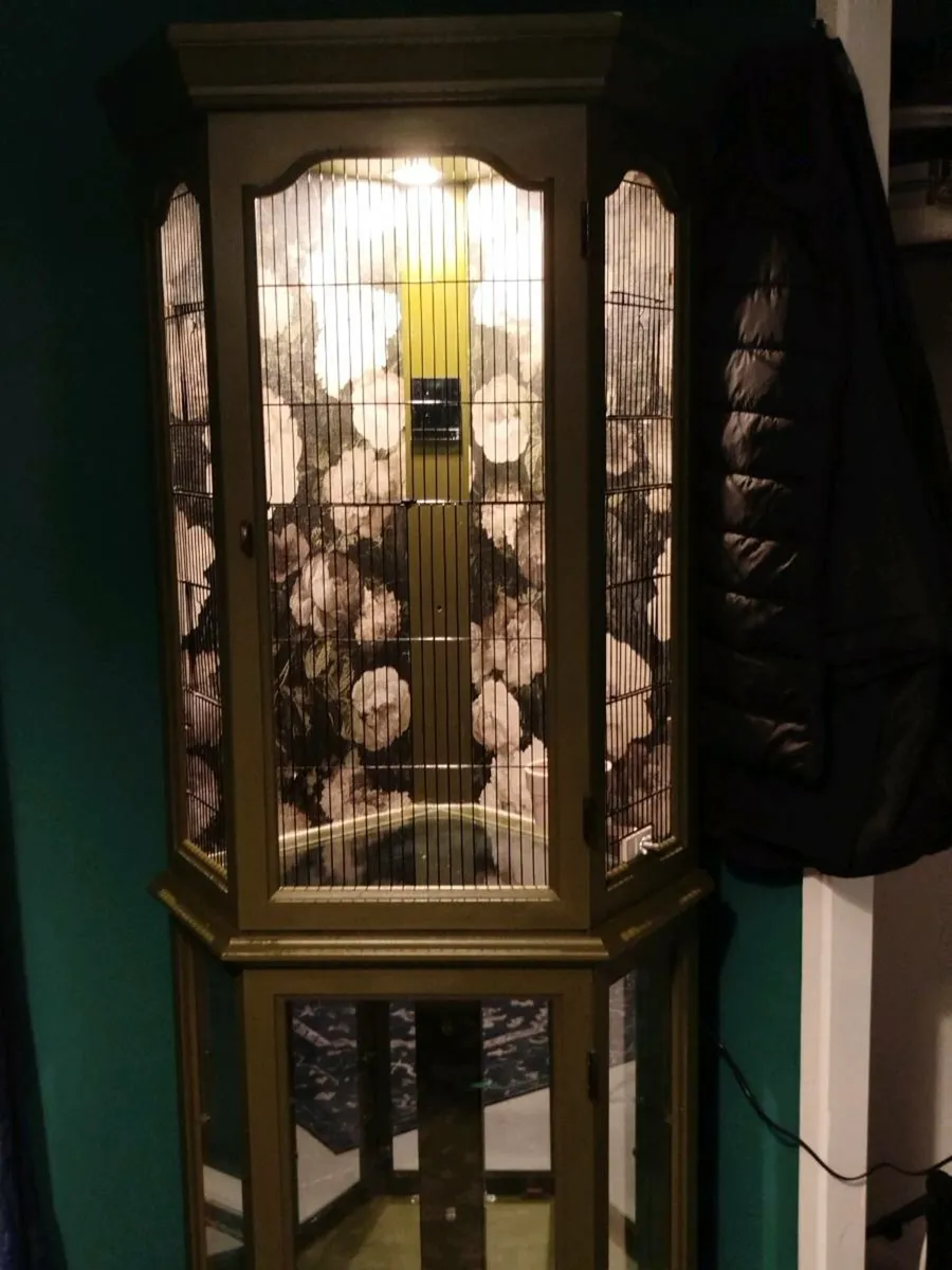 Bird cage - Image 2