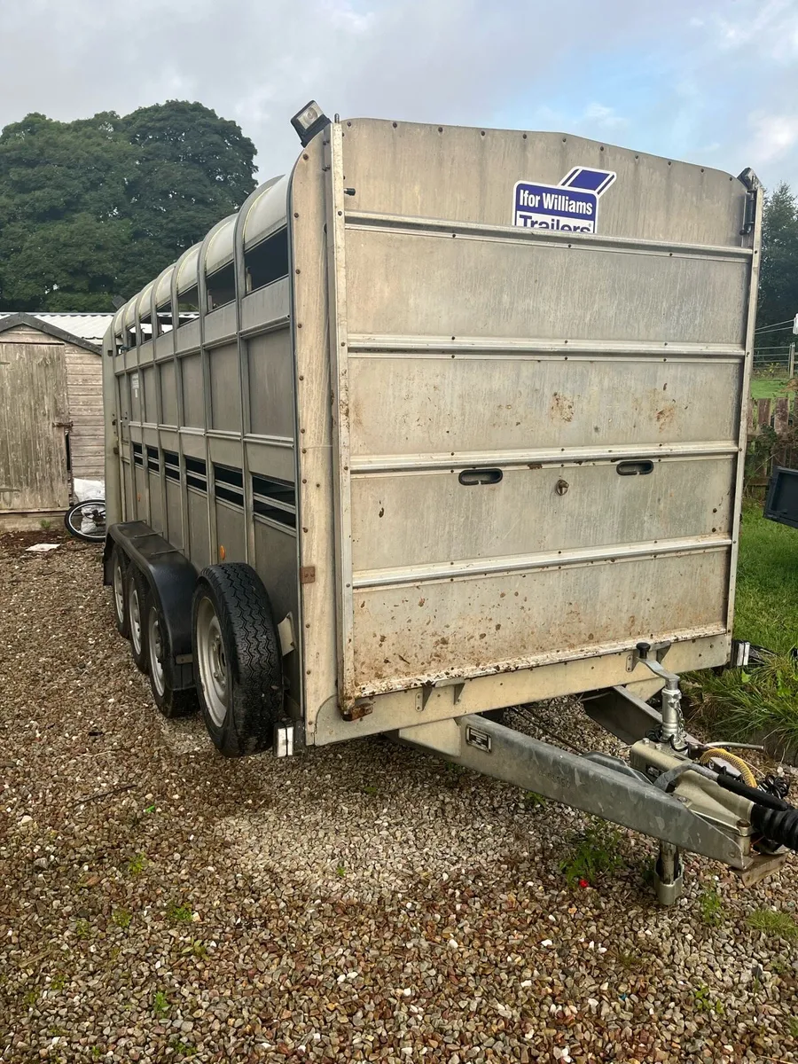 14ft ifor Williams - Image 1