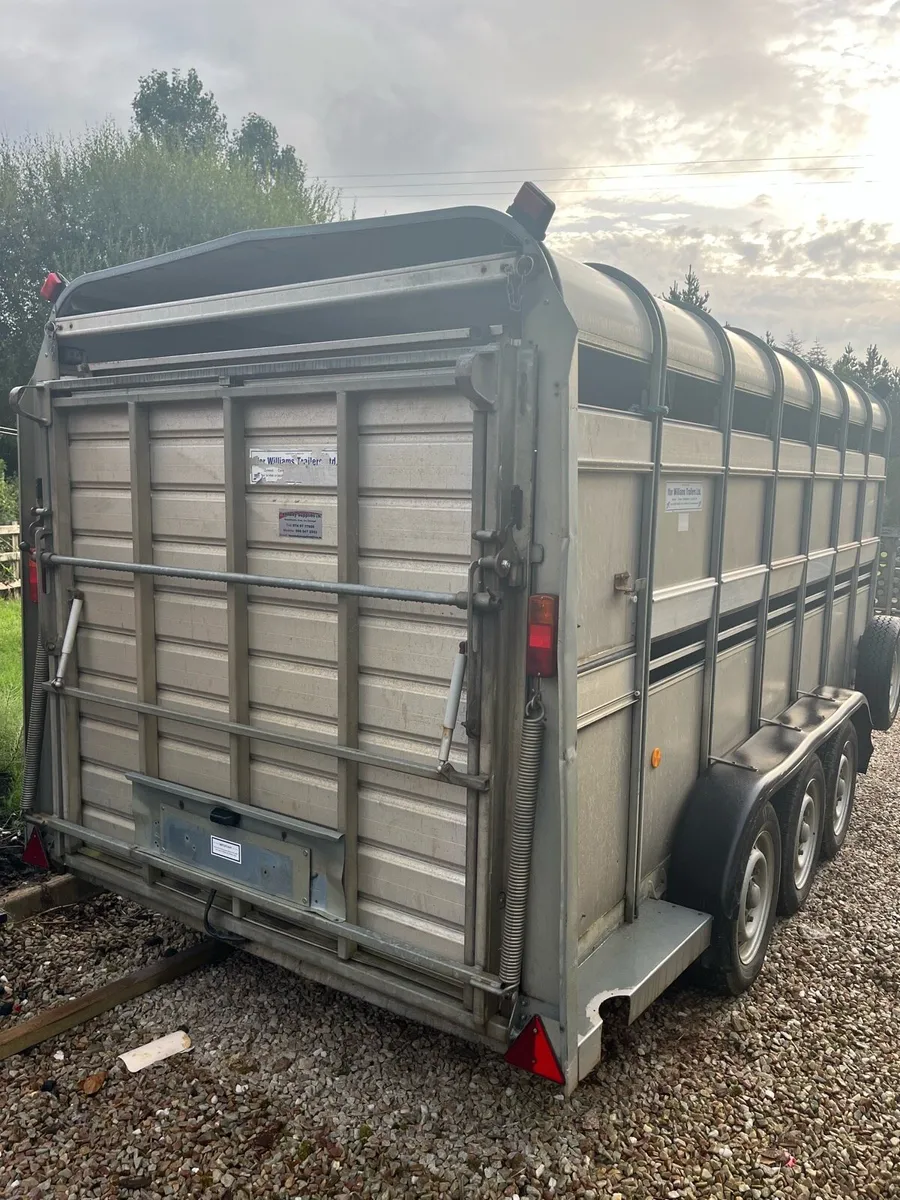 14ft ifor Williams - Image 2