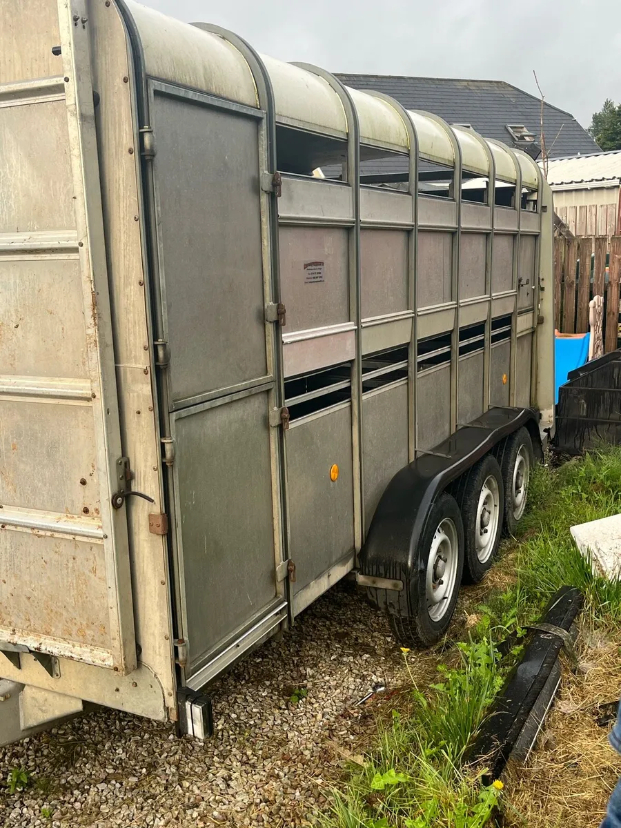 14ft ifor Williams - Image 3