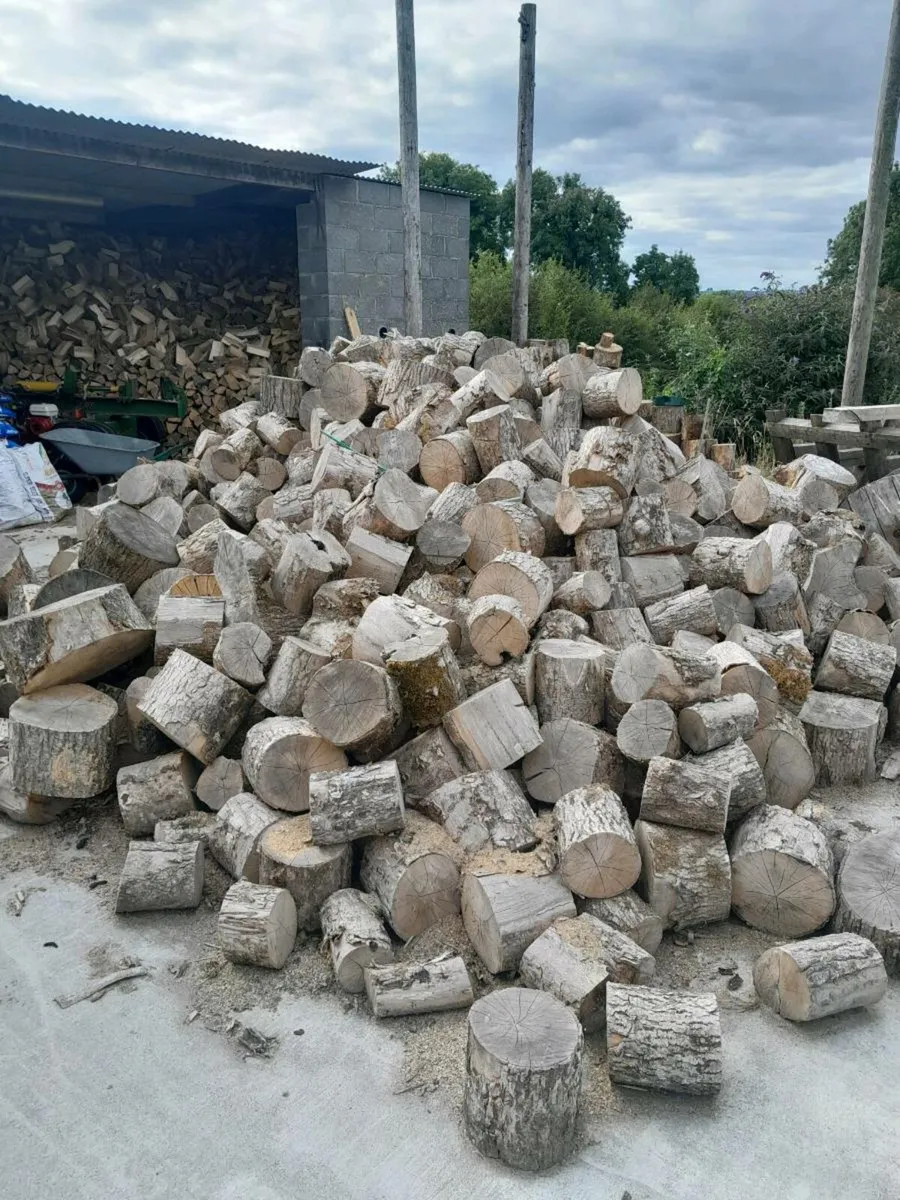 Seasoned firewood - Image 2