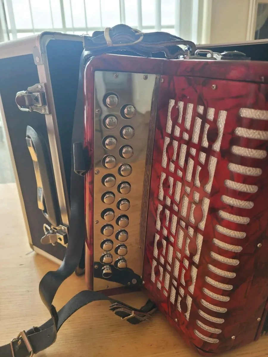 Accordion - Image 3