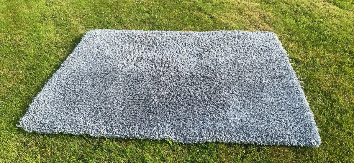Rug - Image 1