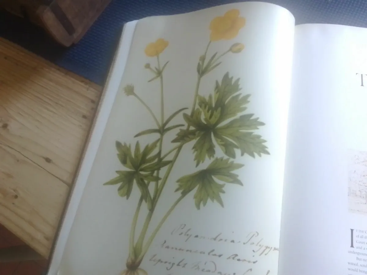 VINTAGE FRAMPTON FLOWER BOOK EX LARGE - Image 1