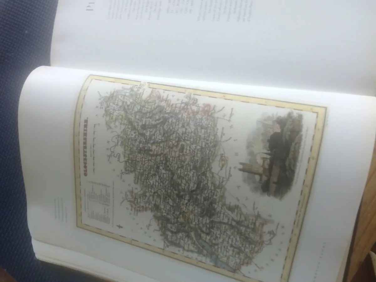 VINTAGE FRAMPTON FLOWER BOOK EX LARGE - Image 3