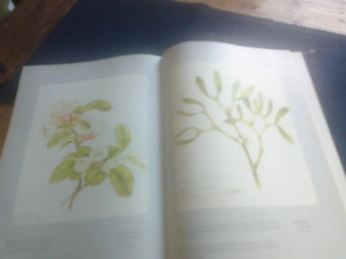 VINTAGE FRAMPTON FLOWER BOOK EX LARGE - Image 4