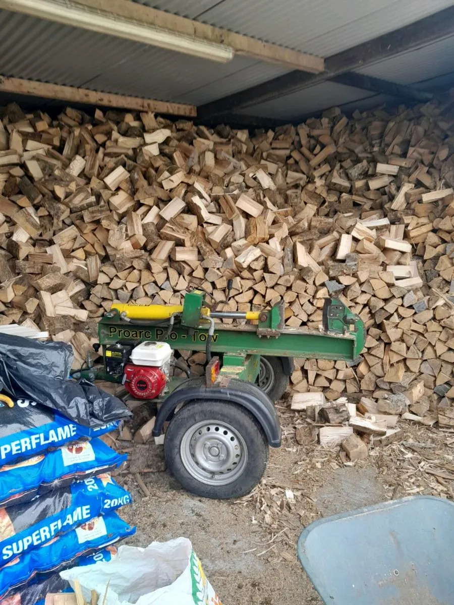 Seasoned firewood - Image 1