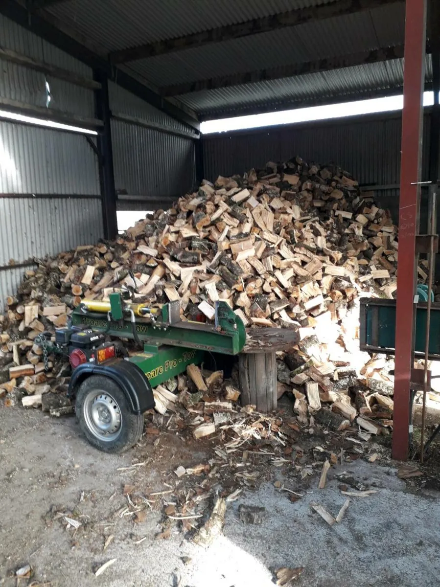 Seasoned firewood - Image 3