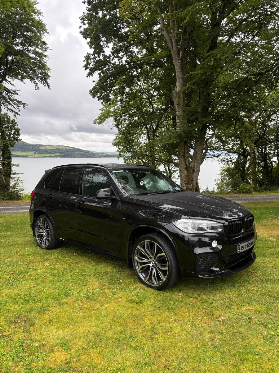 BMW X5 3.0D XDrive30d M Sport Commercial 5 Seats - Image 1