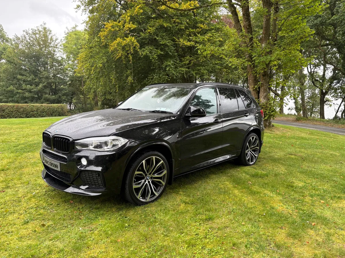 BMW X5 3.0D XDrive30d M Sport Commercial 5 Seats - Image 2