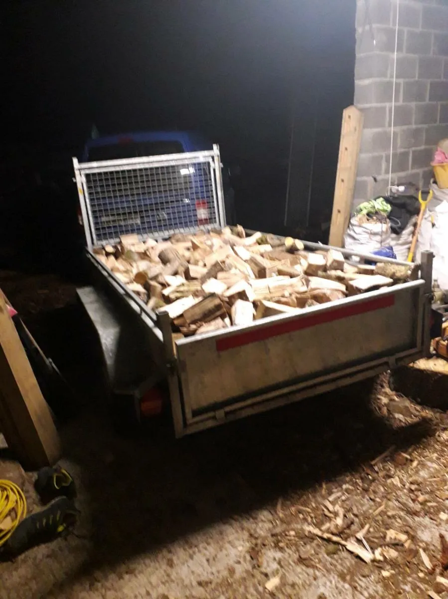 Seasoned firewood - Image 4