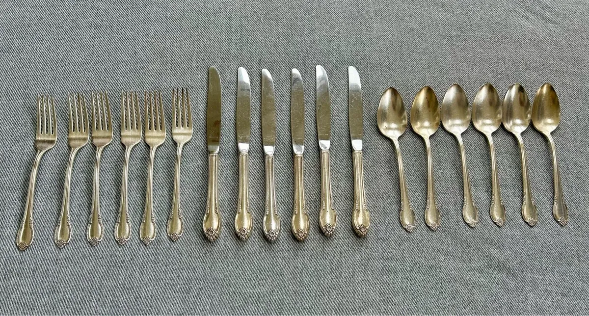 Vintage 1847 Roger’s Bros EPSN cutlery canteen - Image 1