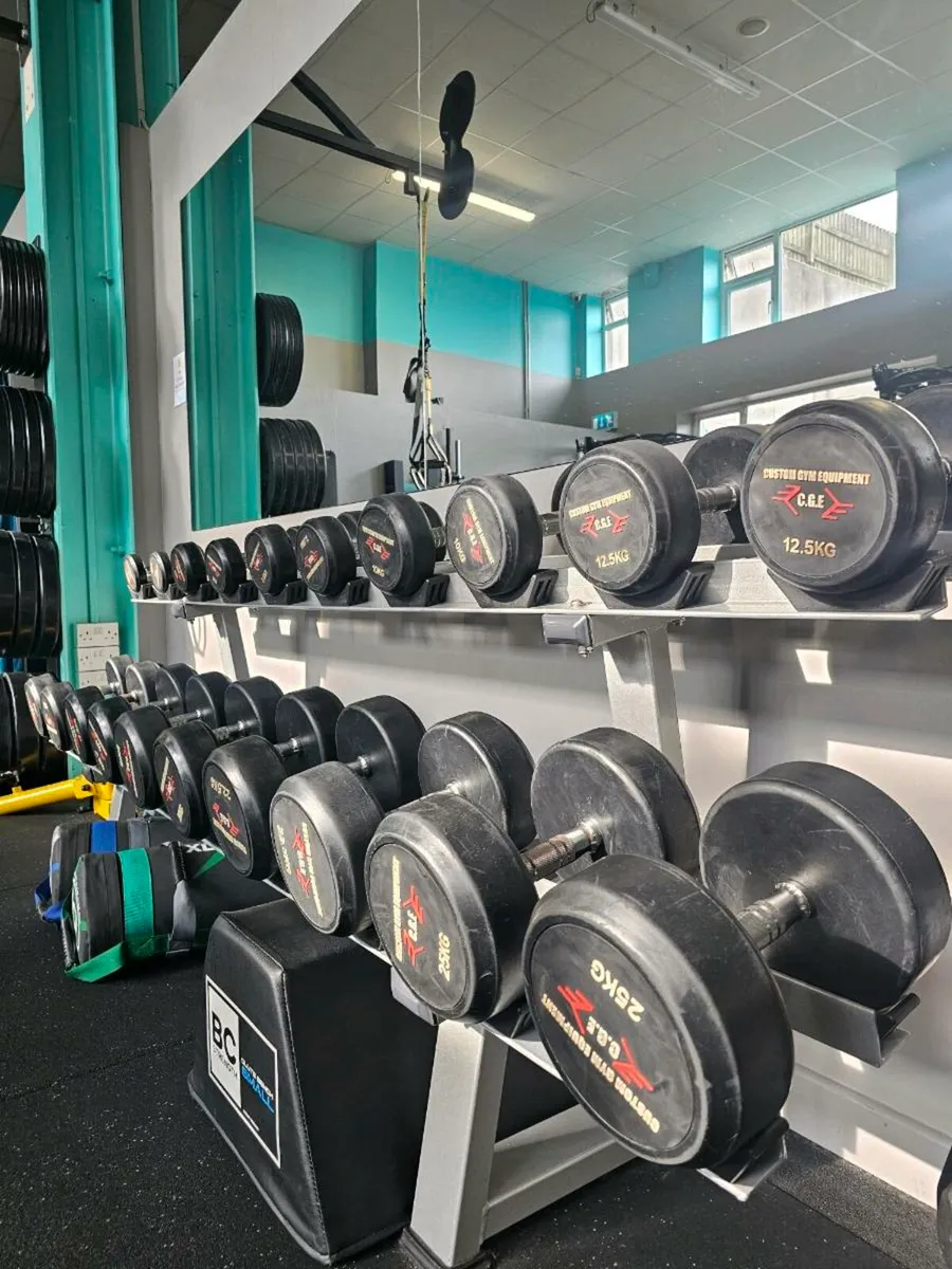 Round Rubber Dumbbells - Full Set (2.5kg–25kg) - Image 1