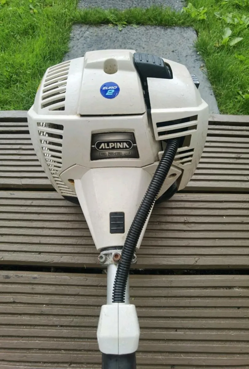 Strimmer alpina - Image 3