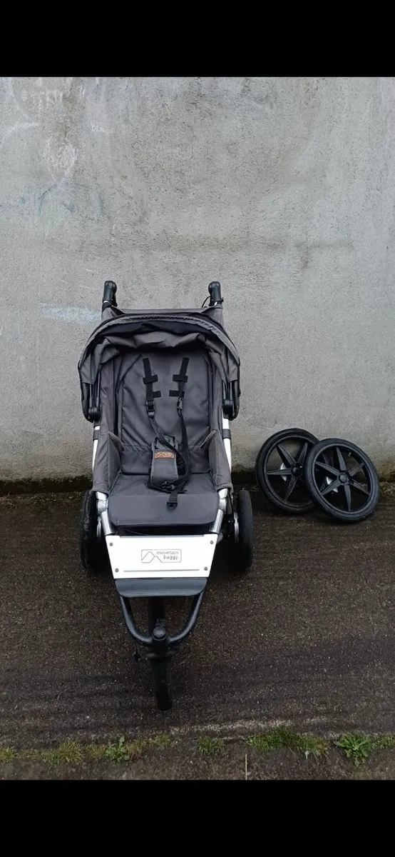 Buggy - Image 3