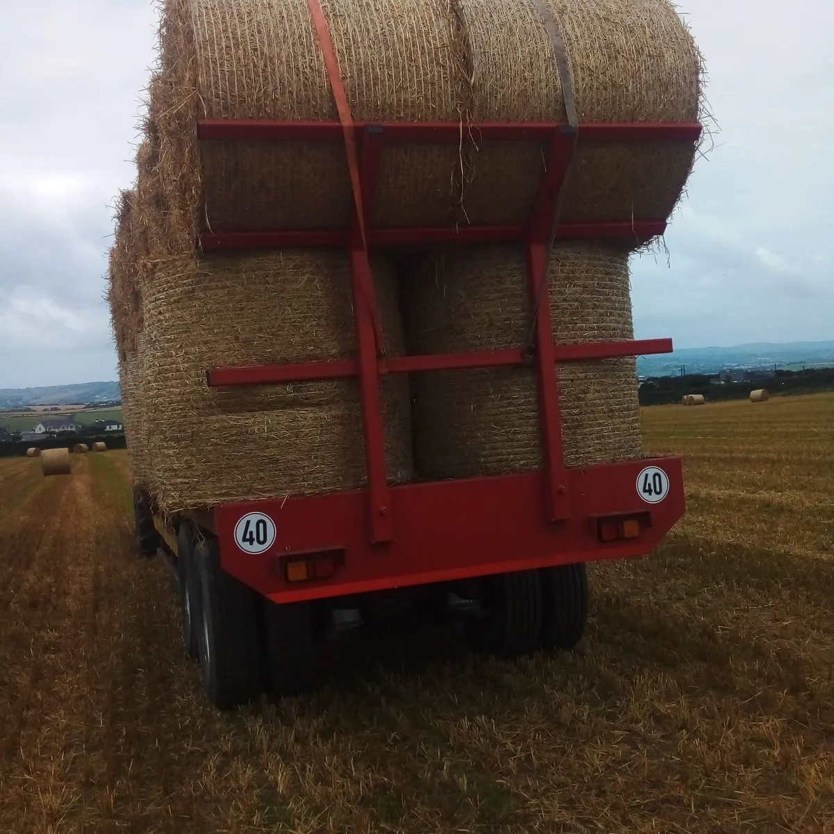Bale trailer - Image 2