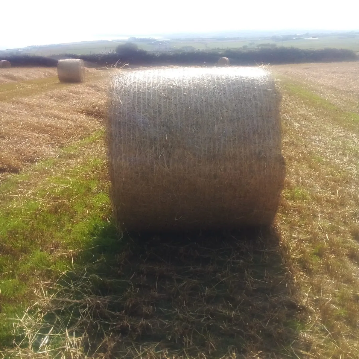 Bale trailer - Image 4