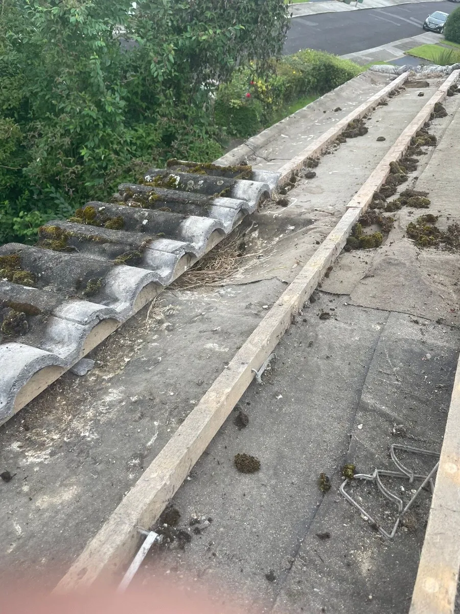 Roof repair maintenance - Image 3
