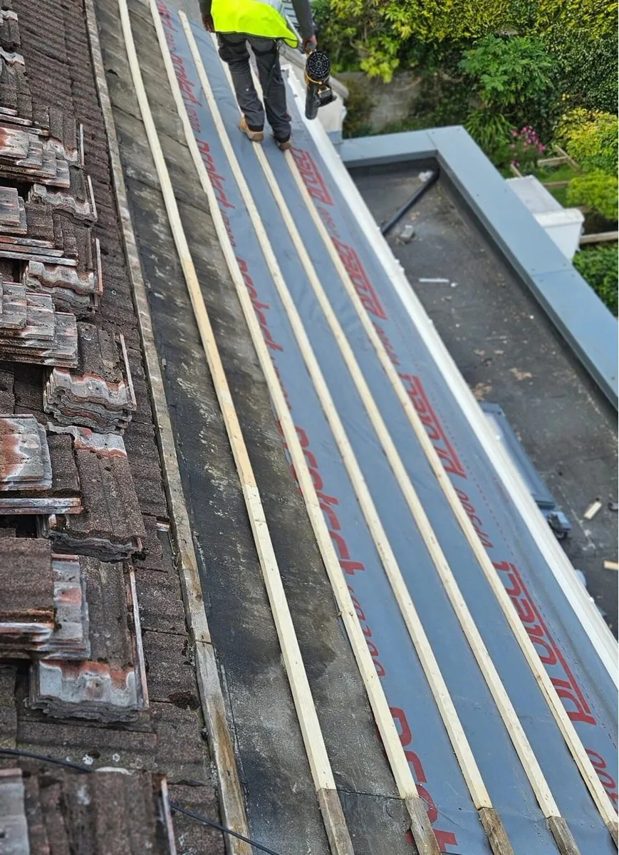 Roof repair - Image 3