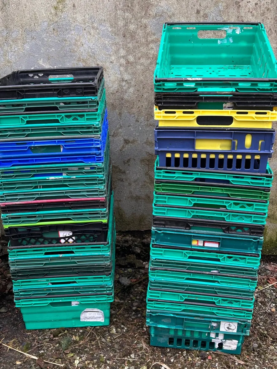 Plastic trays - Image 1