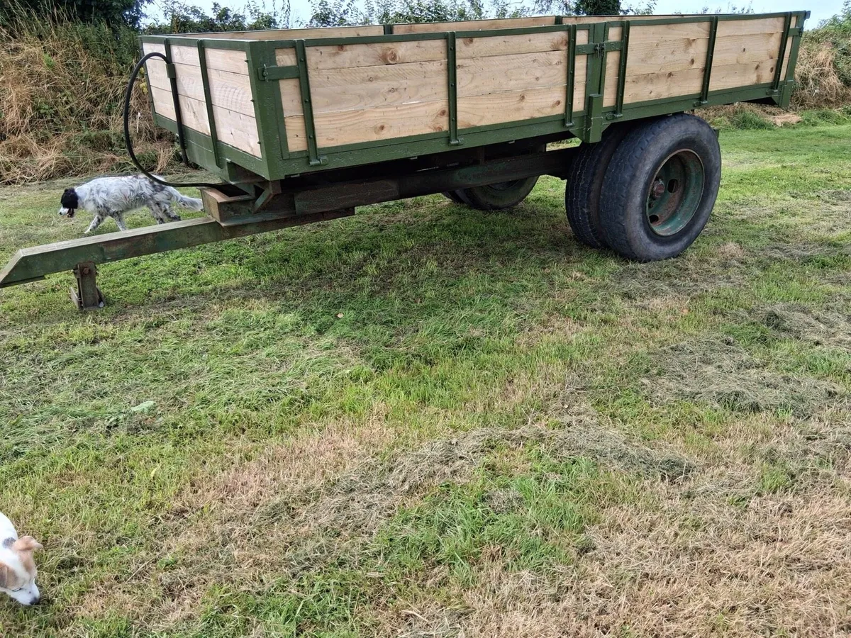 Shear Grab like new - Image 4