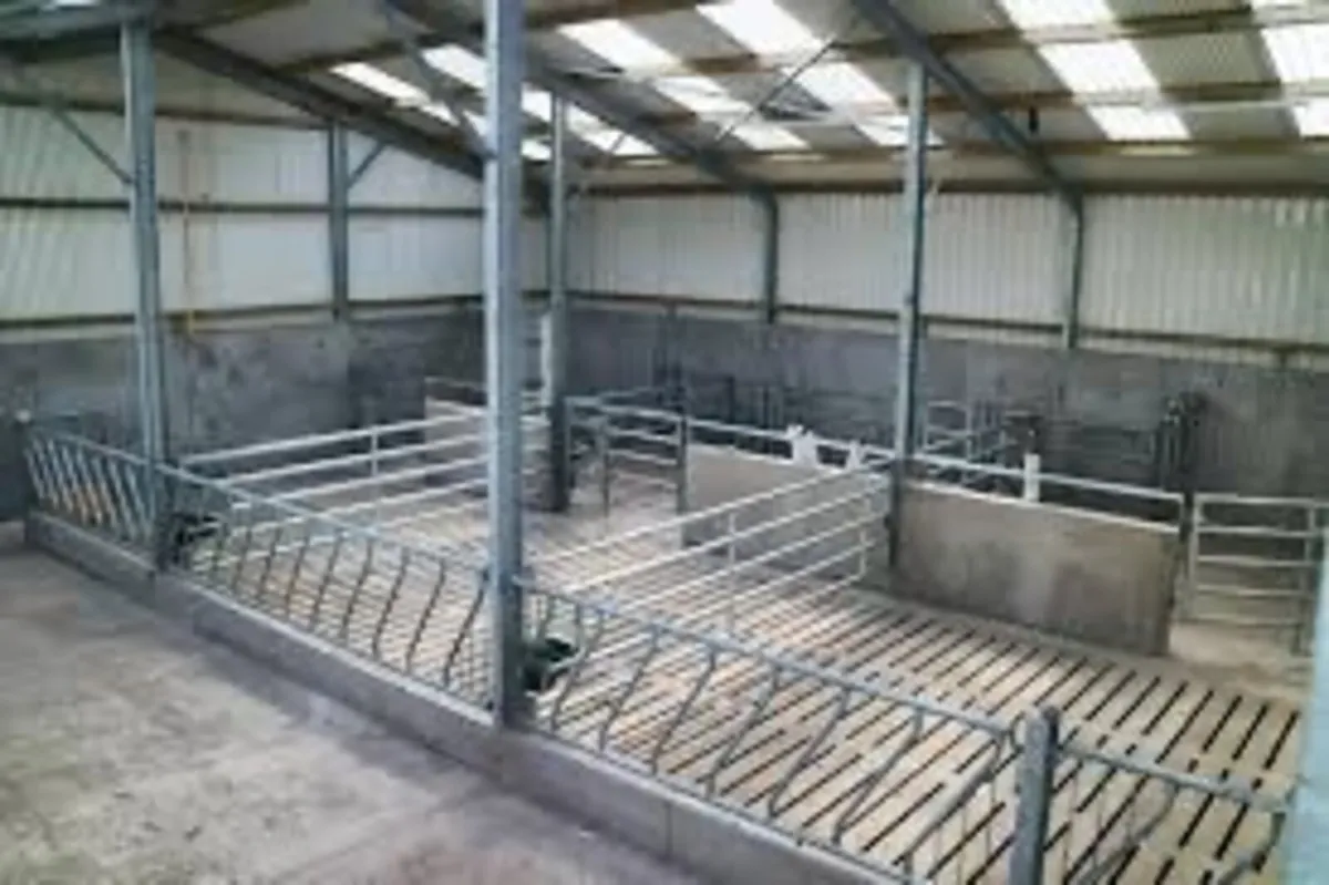 Slatted shed wanted