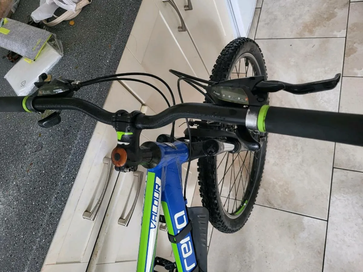 Bike carrera - Image 2