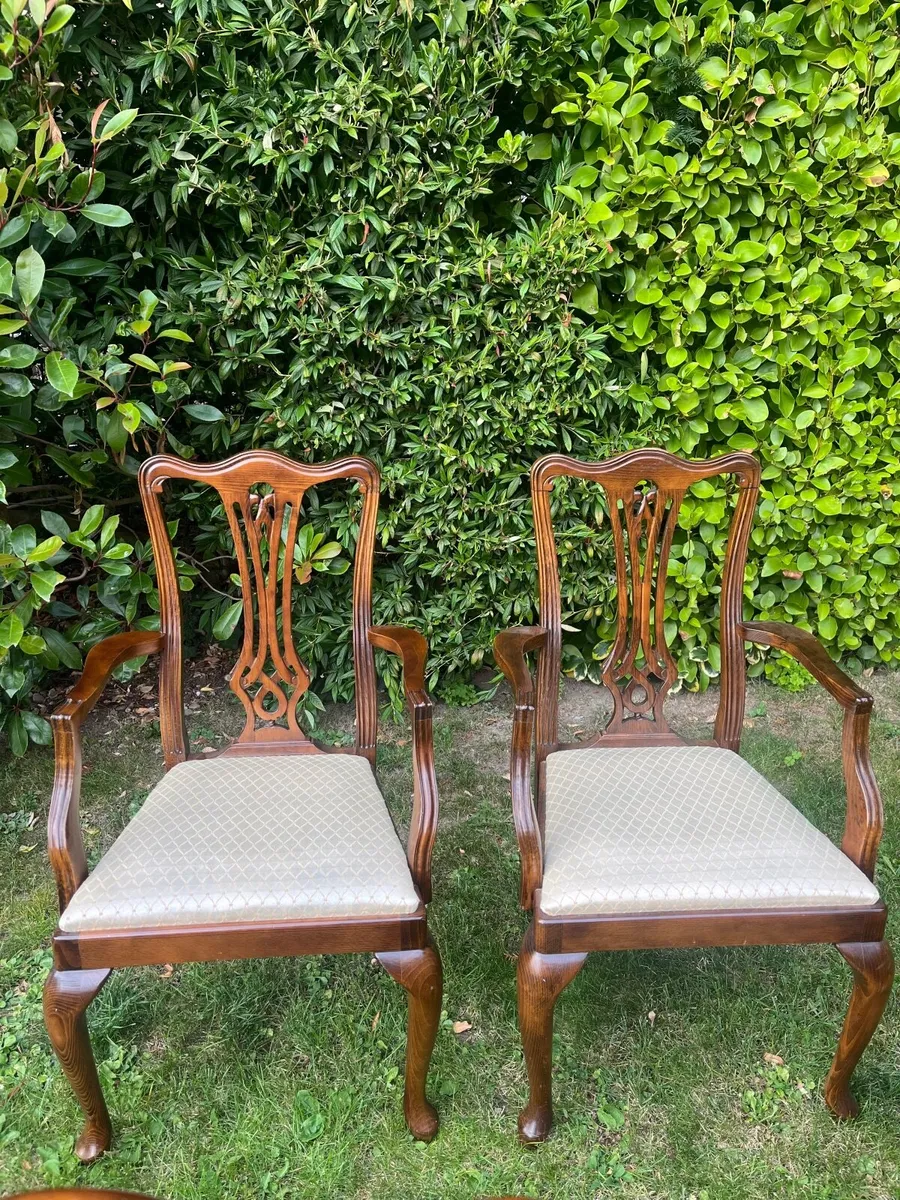 Dining chairs - Image 1