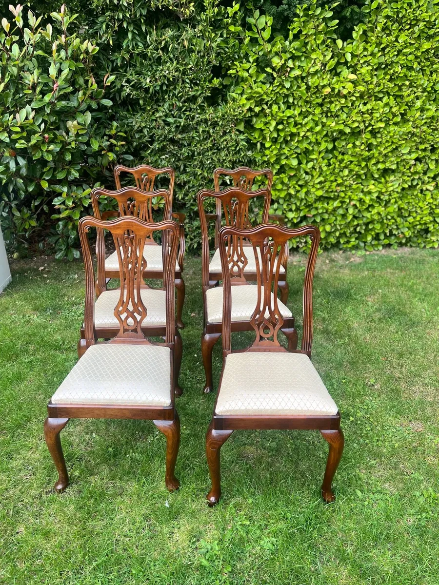Dining chairs - Image 2