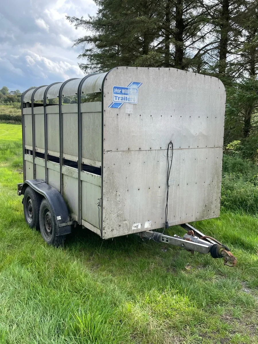 Ifor Williams livestock trailer - Image 1