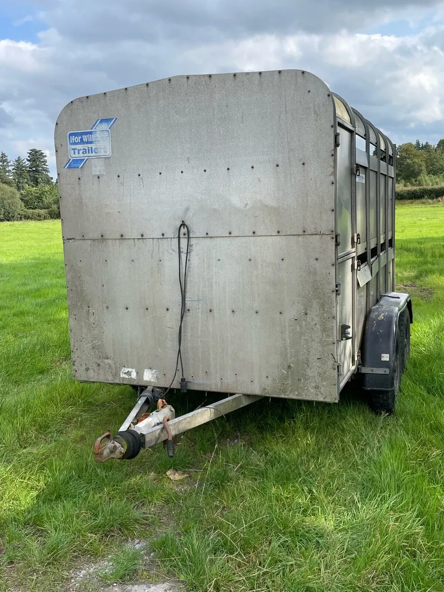 Ifor Williams livestock trailer - Image 2
