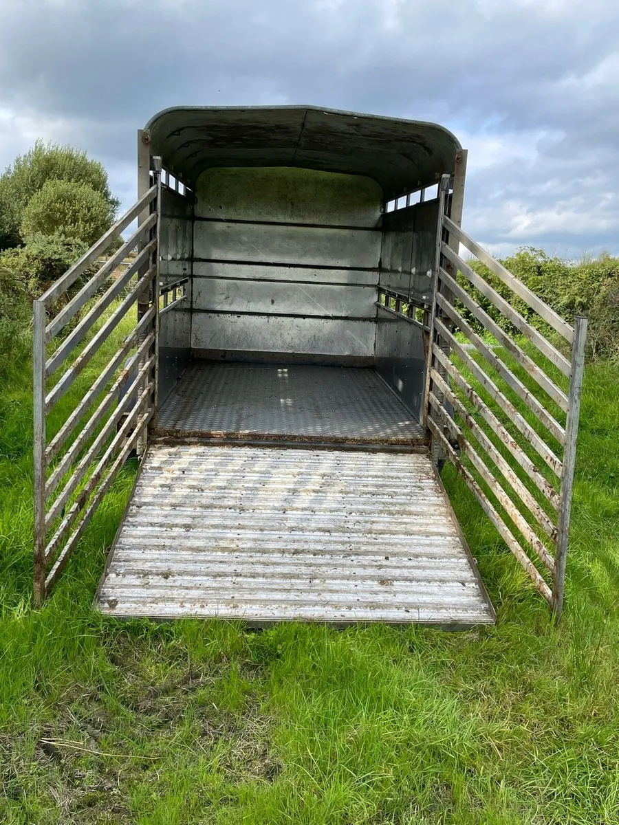 Ifor Williams livestock trailer - Image 4