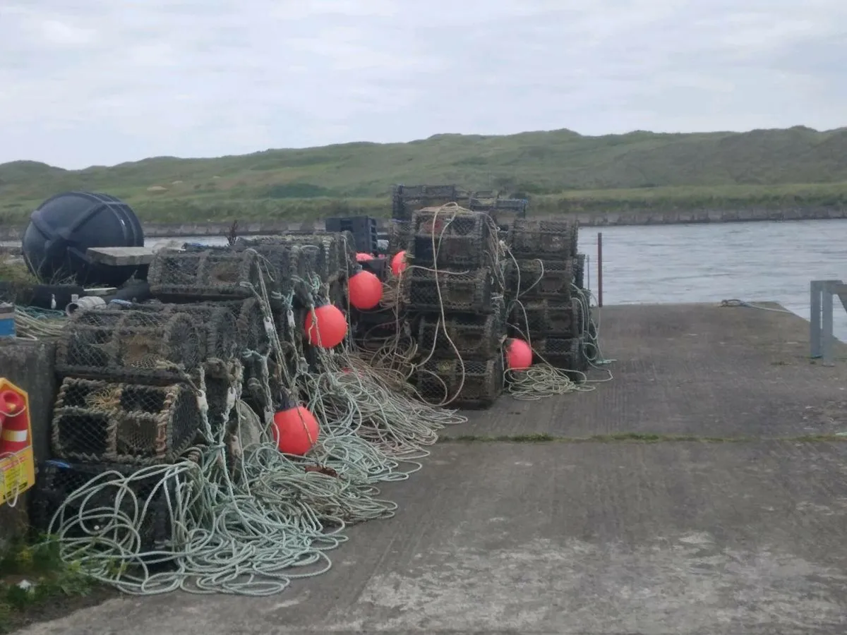Lobster pots - Image 1