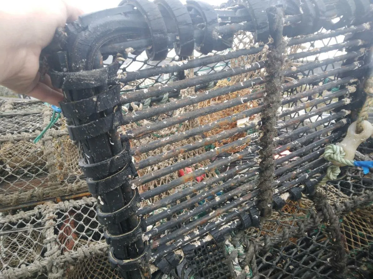 Lobster pots - Image 3