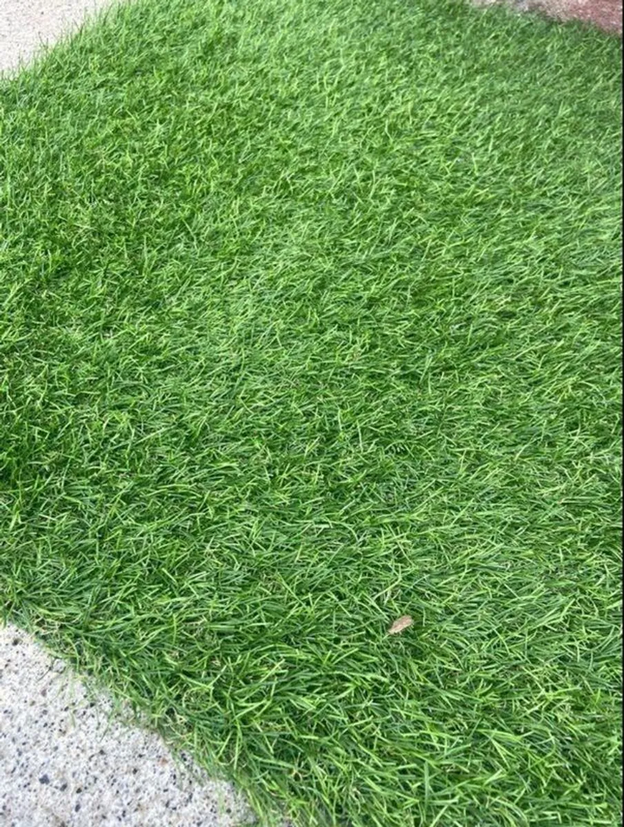 Artificial Grass/Turf - Image 3