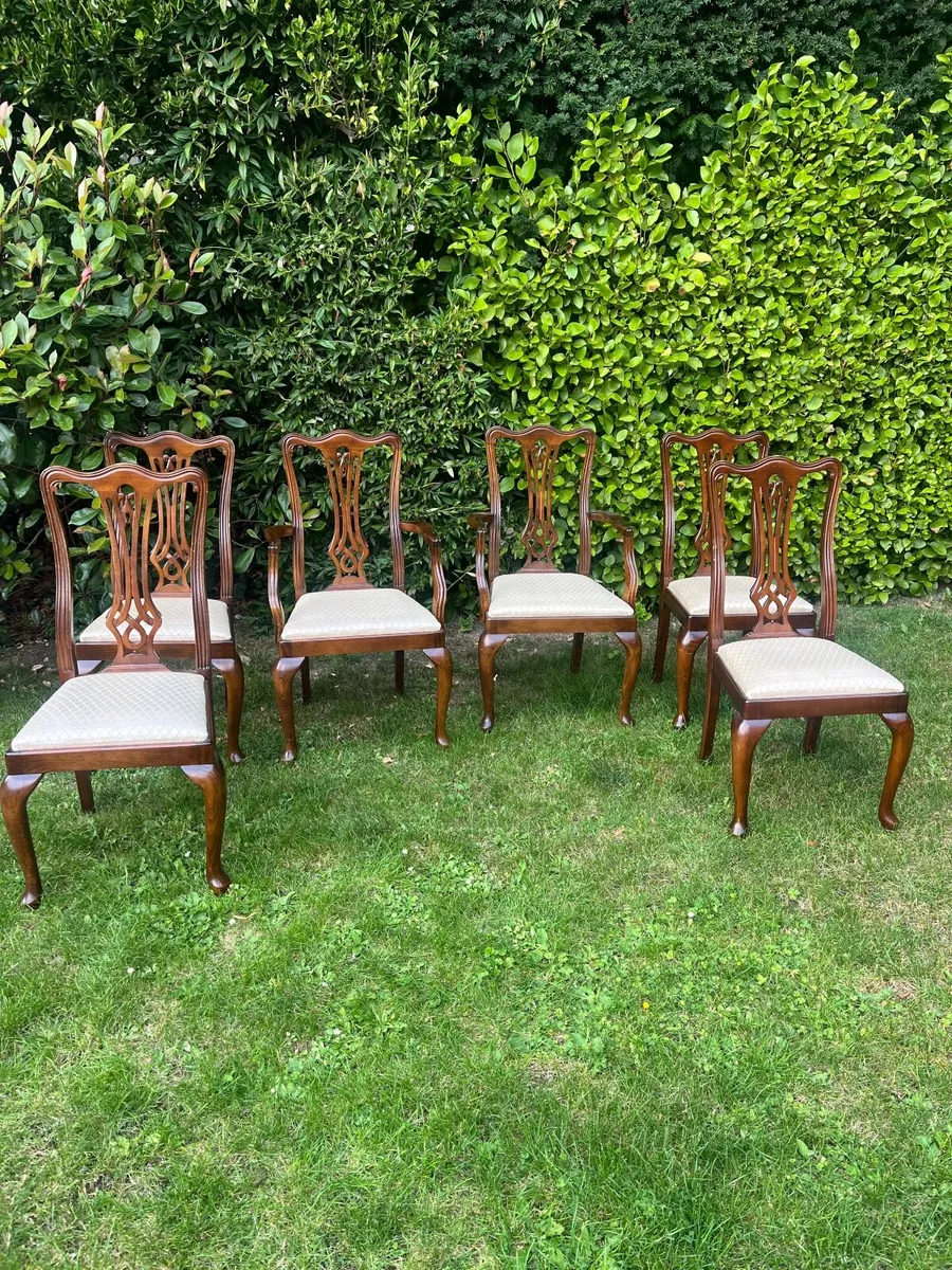 Dining chairs - Image 4