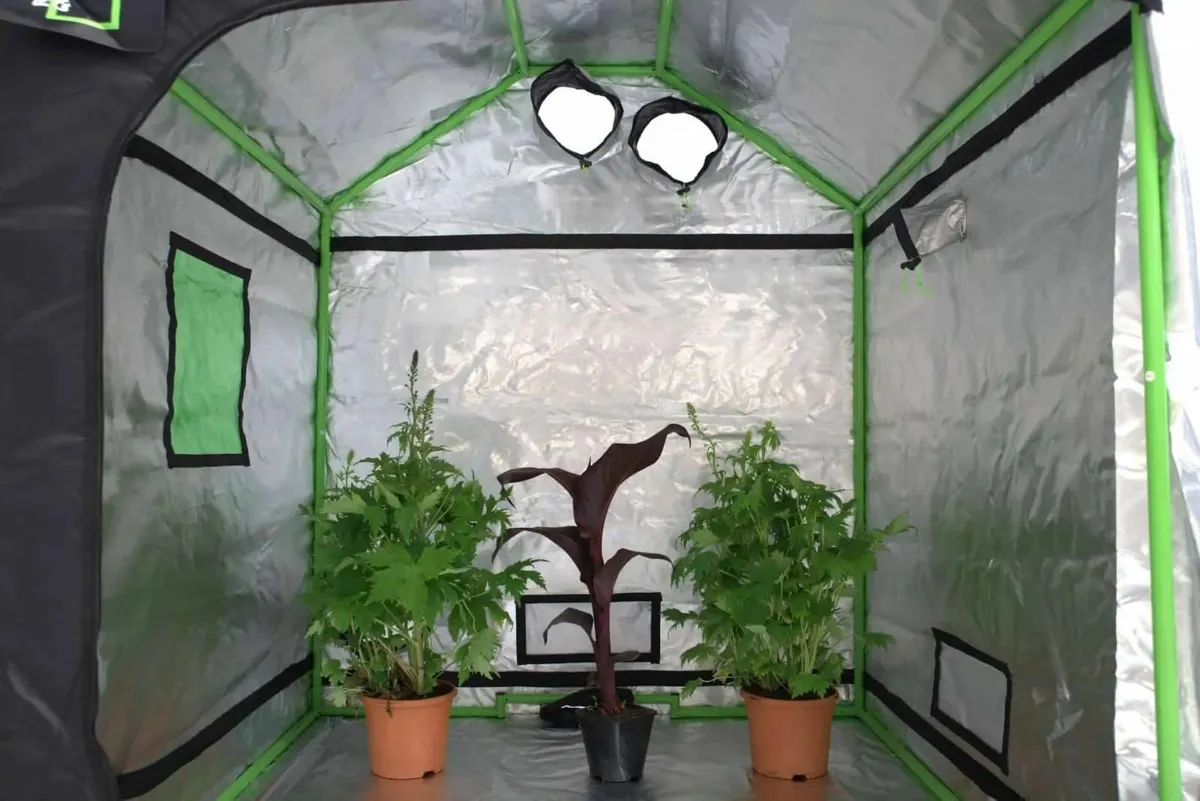 Grow tent - Image 4